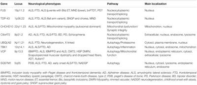 The Overlapping Genetics of Amyotrophic Lateral Sclerosis and Frontotemporal Dementia